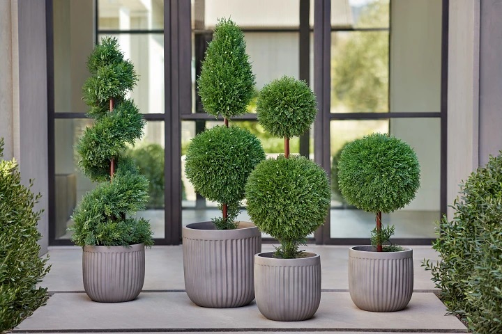 Artificial Plants & Pots